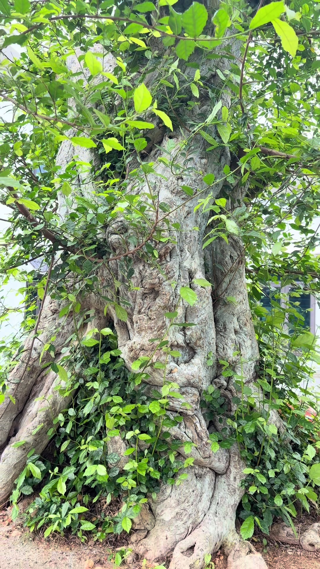 @Anh c&ocirc;ng