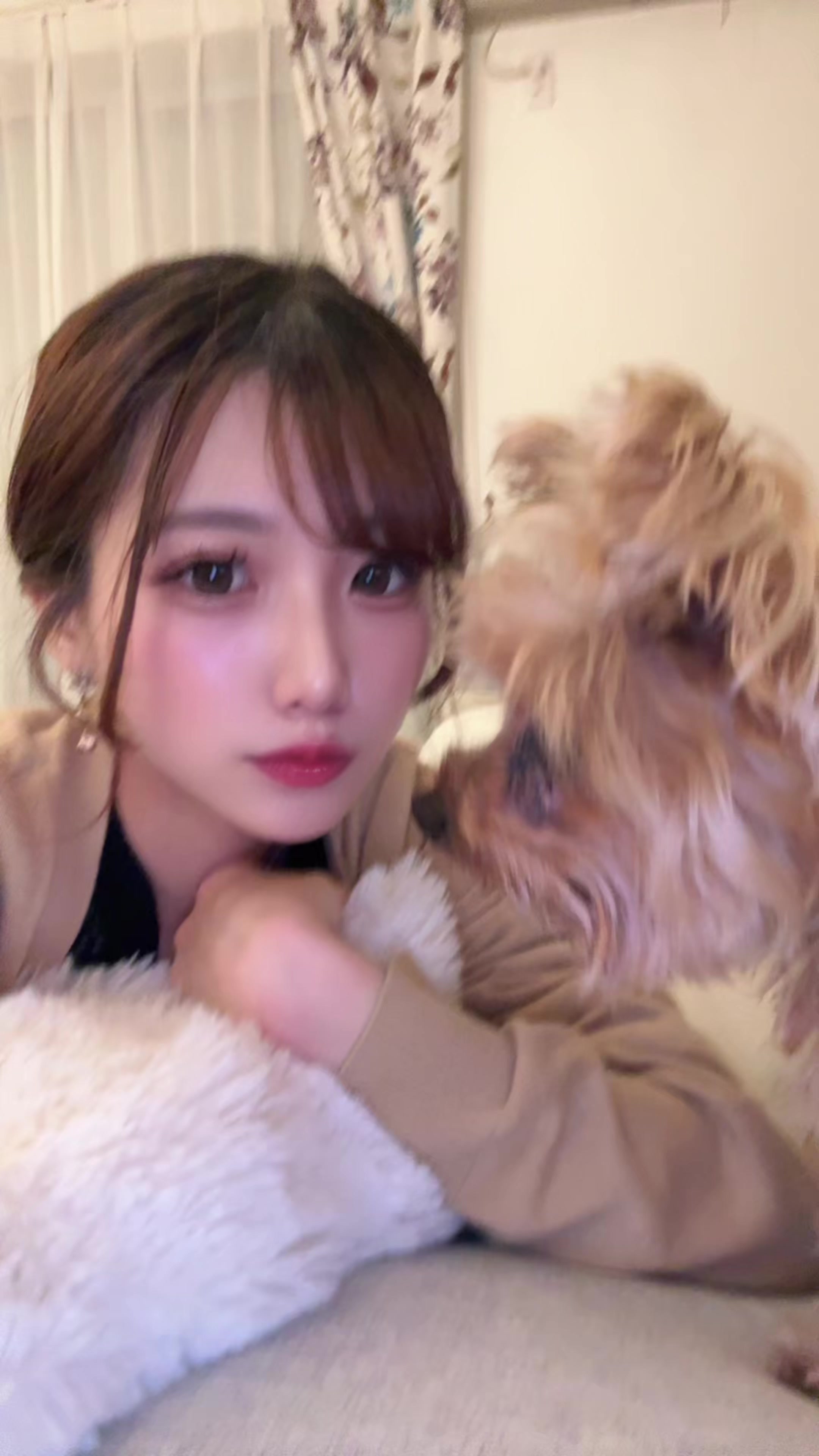 @アヤメ