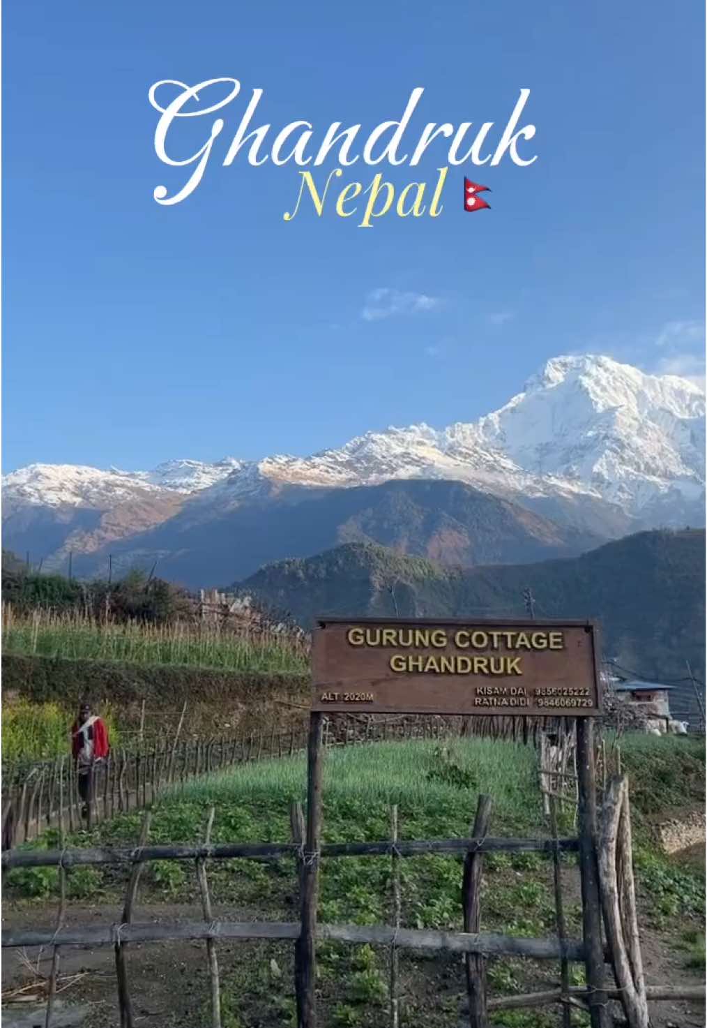 @Pema