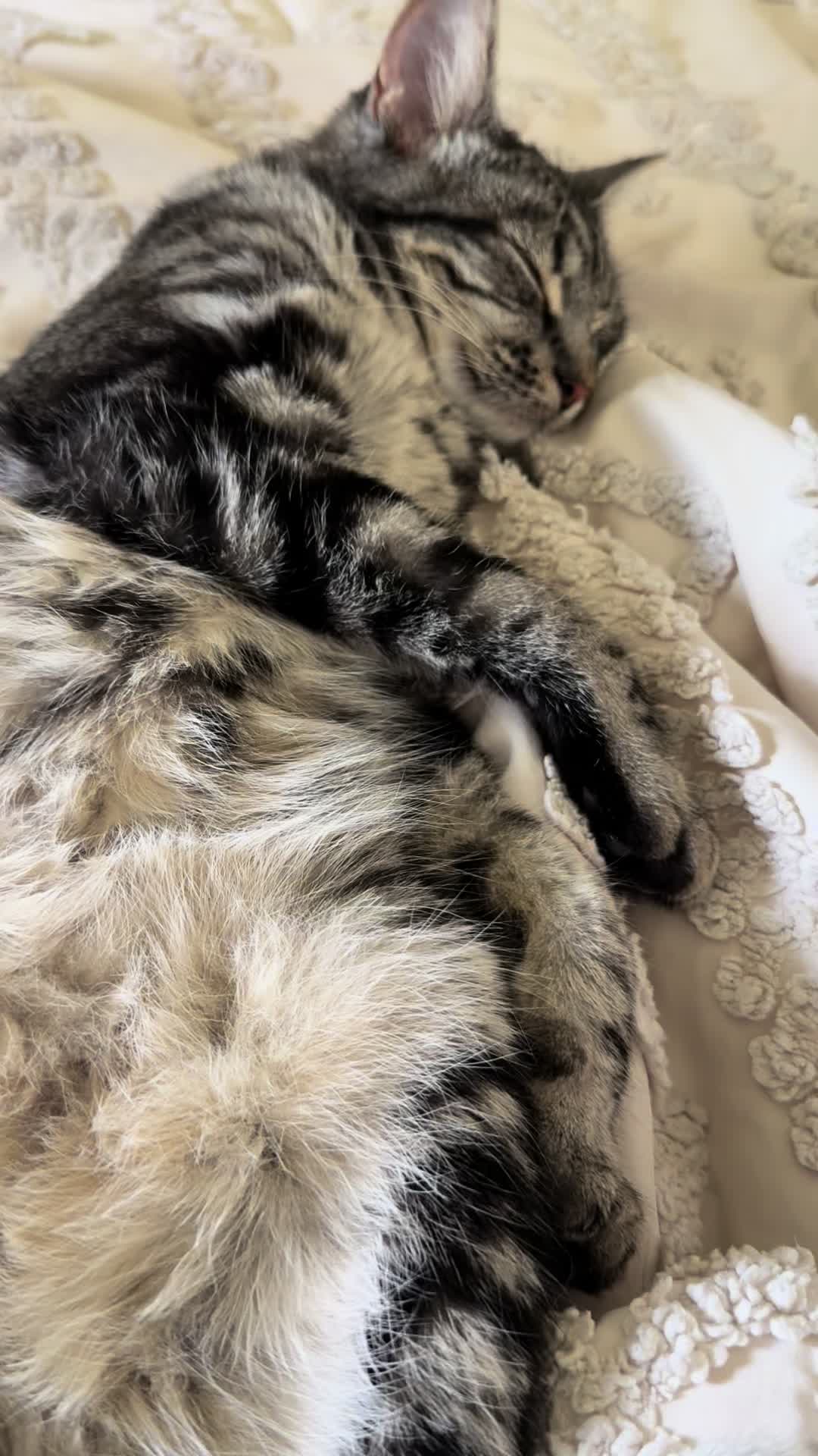 @KrazyKatz