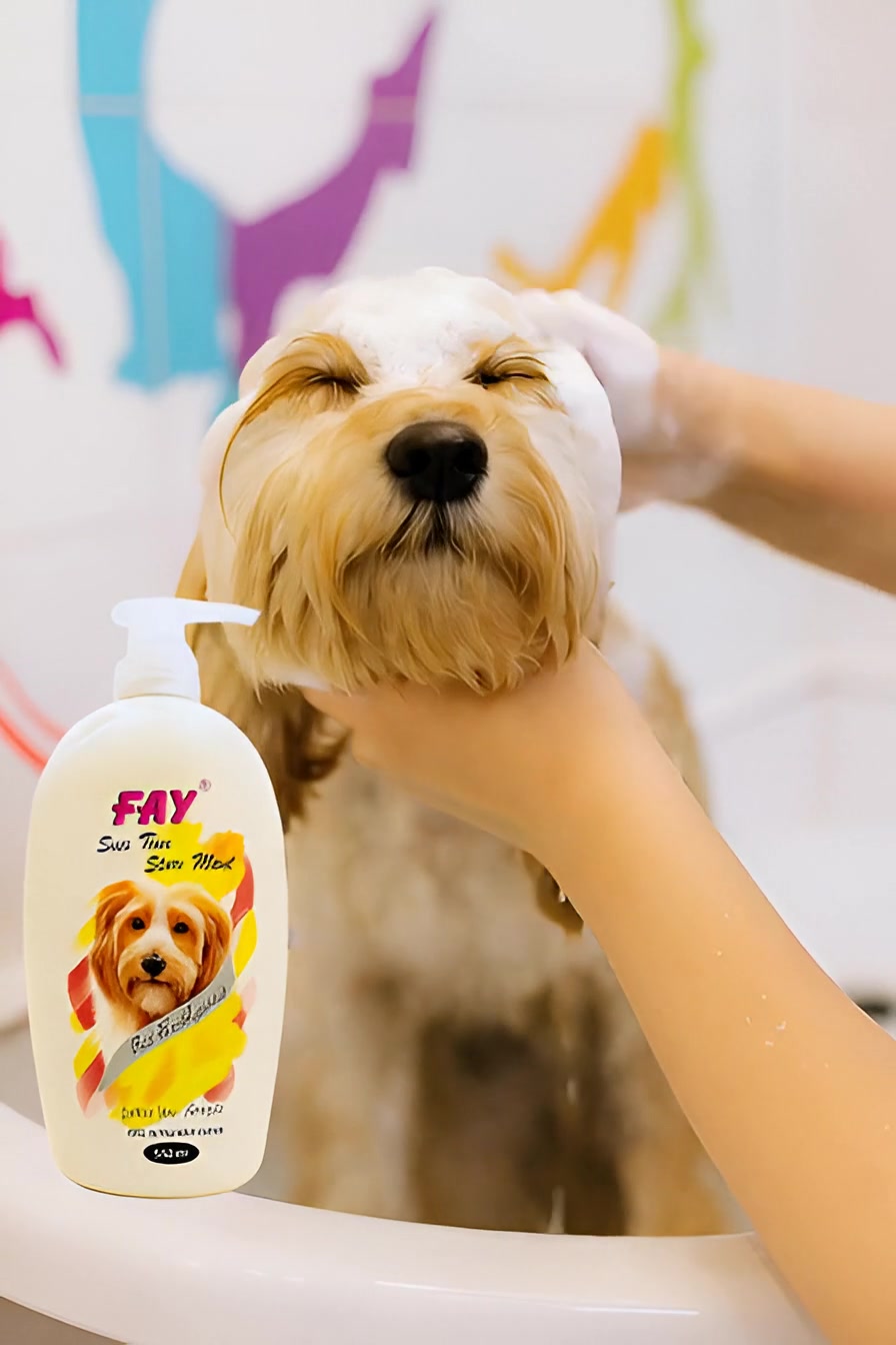 @PetCare