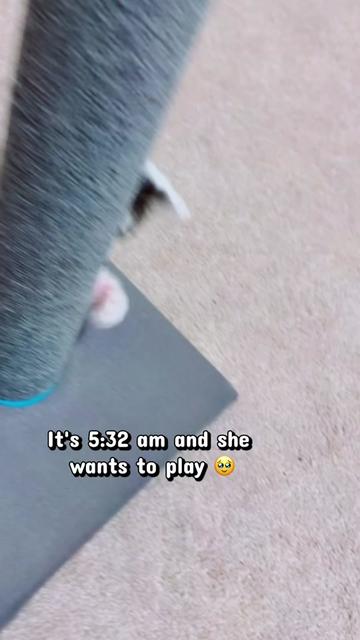 @Just_QueenAshley