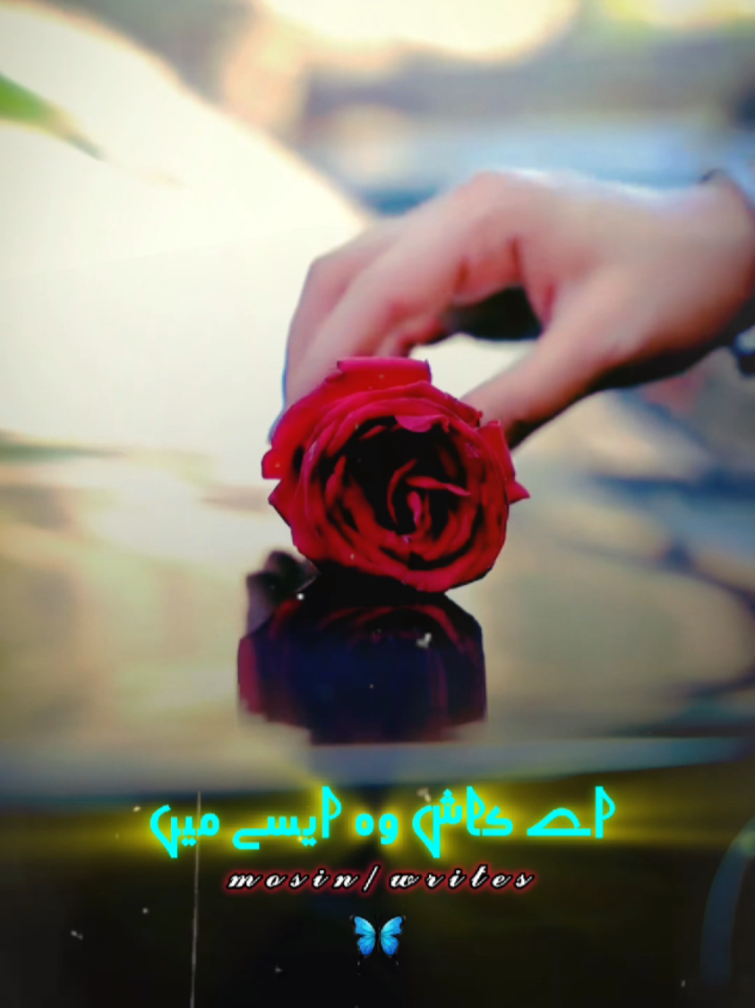 @🥀░M░u░s░a░f░a░r░🎭
