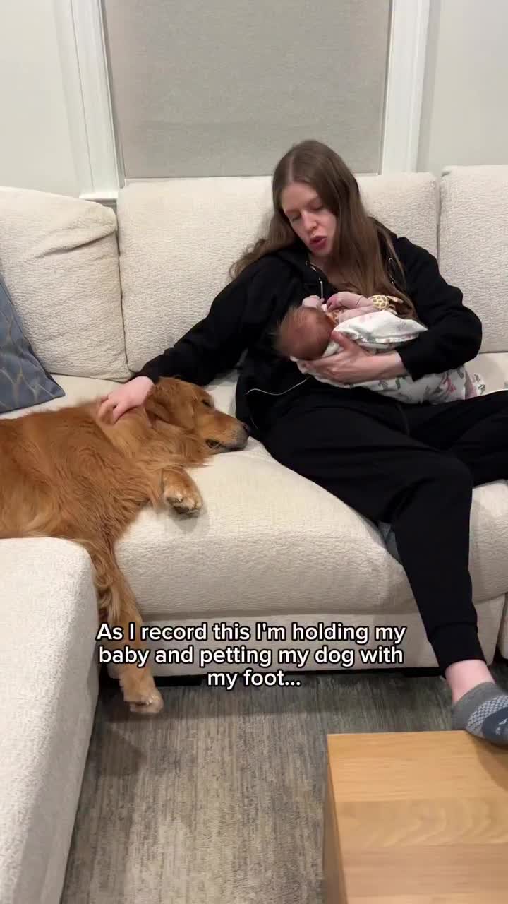 @Dev | mom + dog mom