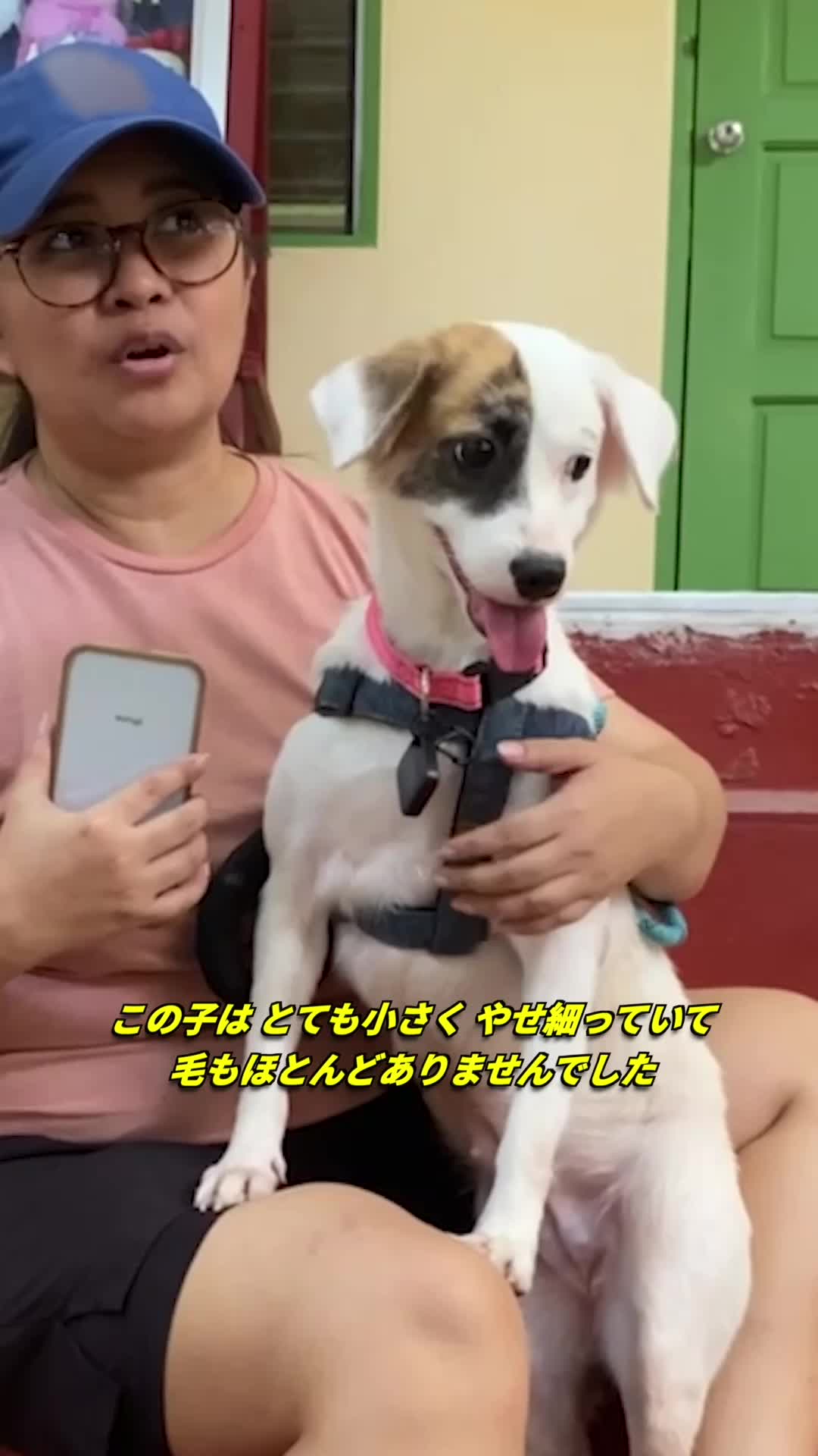 @PETAアジア 動物の倫理的扱いを求める人々の会 JAPAN