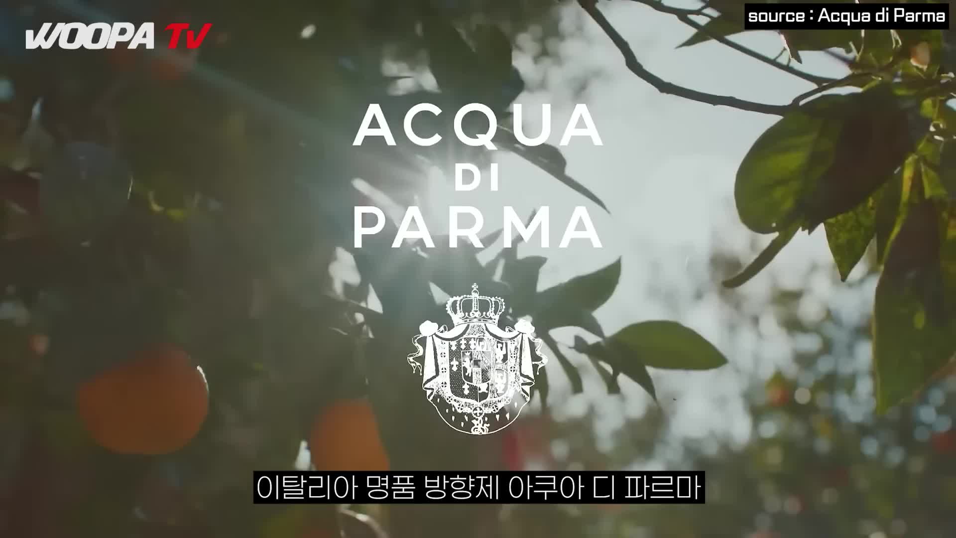 @우파푸른하늘