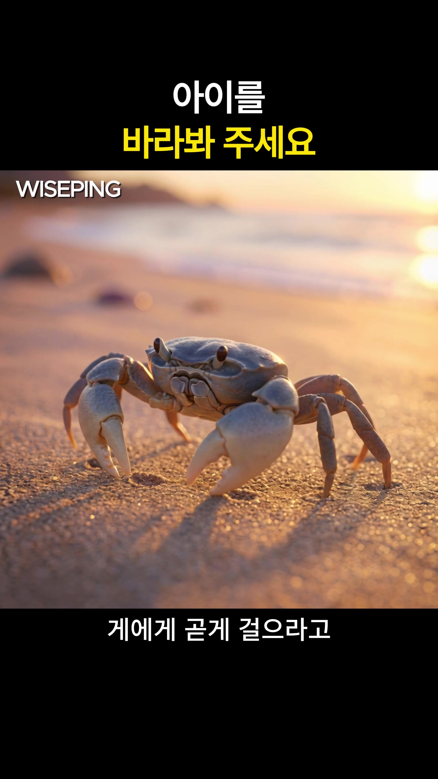 @WISEPING | 와이즈핑
