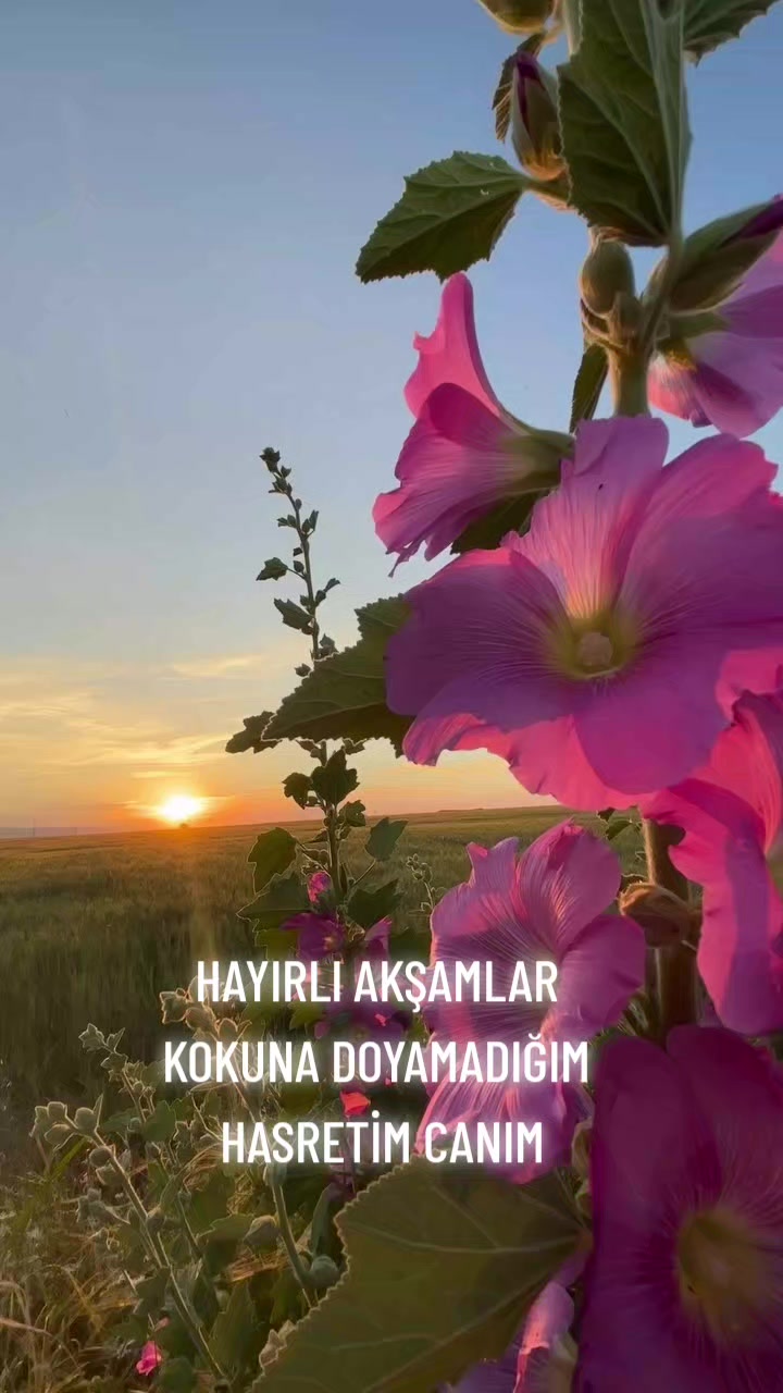 @Hasan Yılmaz