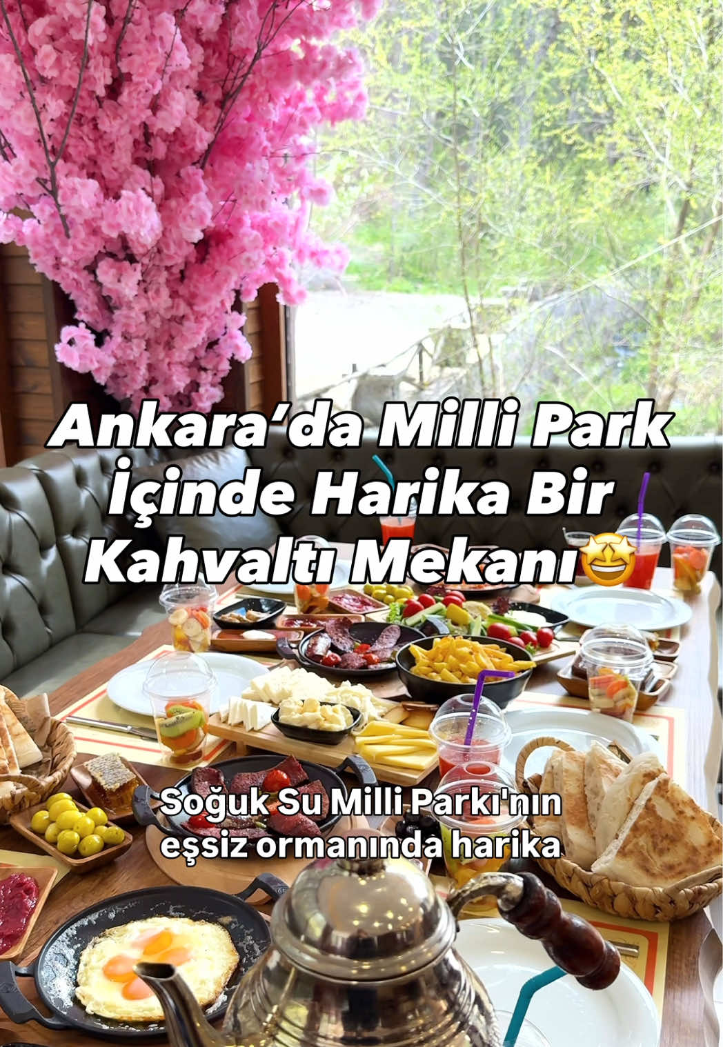 @cocuklageziler