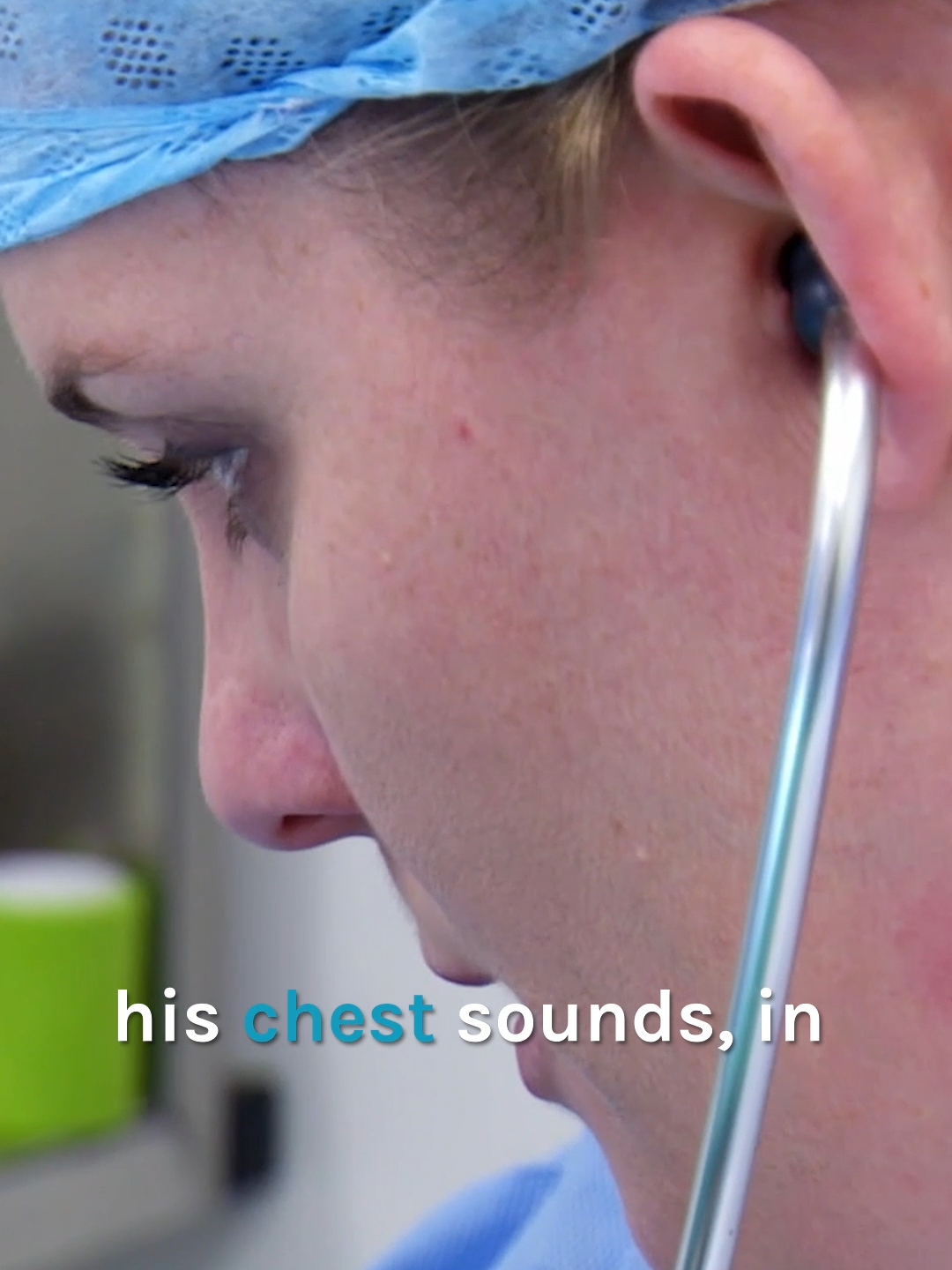 @Bondi Vet