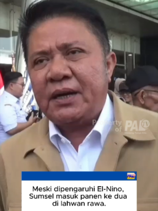 @Paltv-Memang Punyo Kito