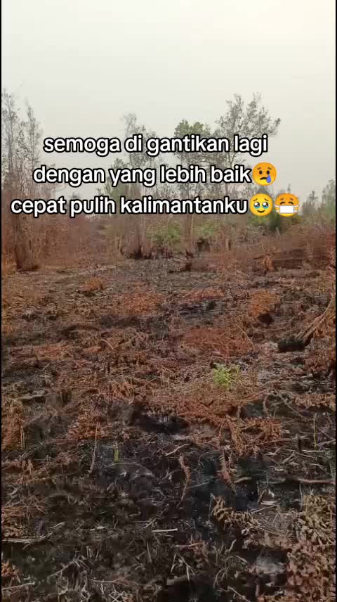 @dedekhimawari91