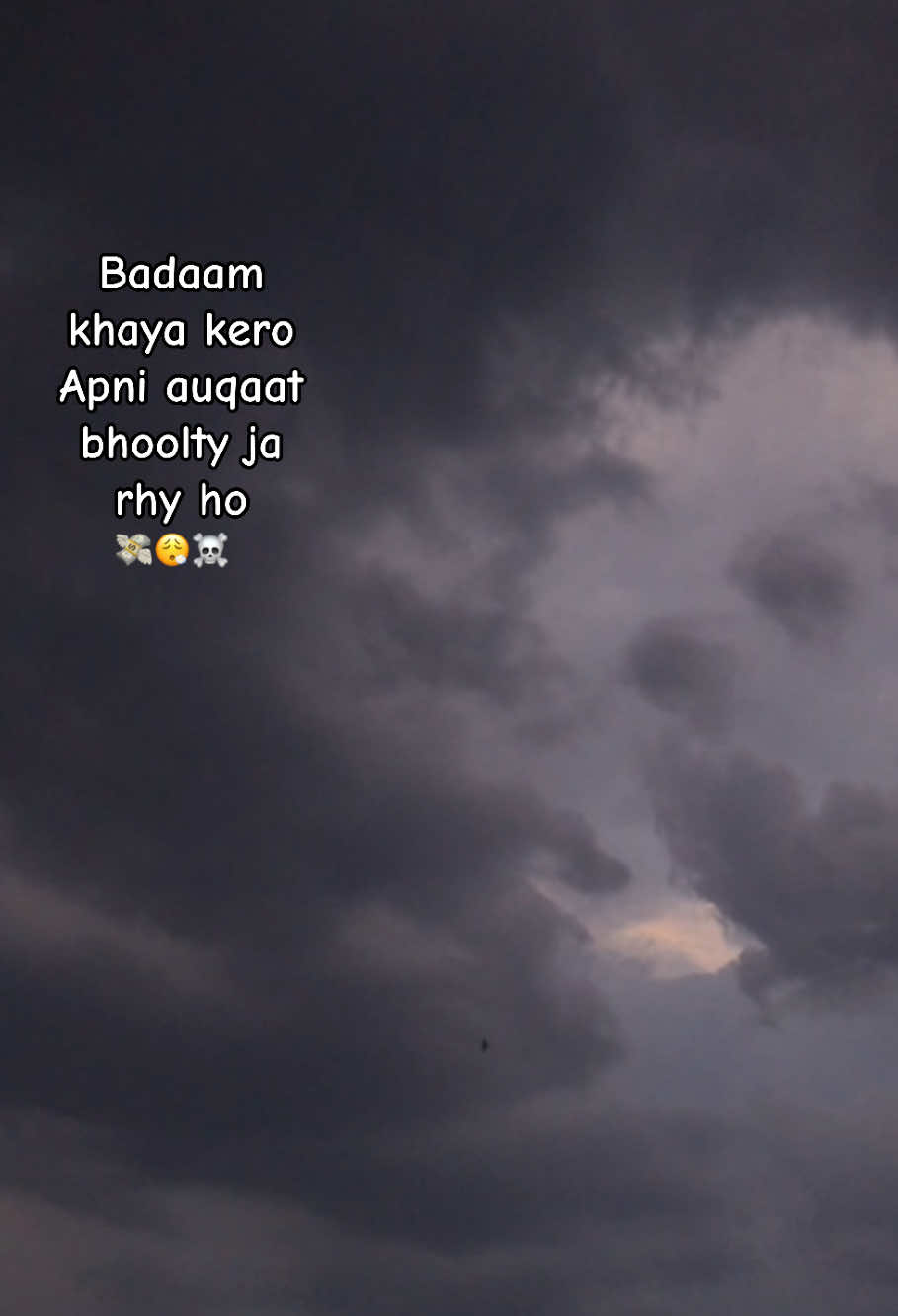 @꧁༺𝓐𝓶𝓫𝓮𝓻༻꧂