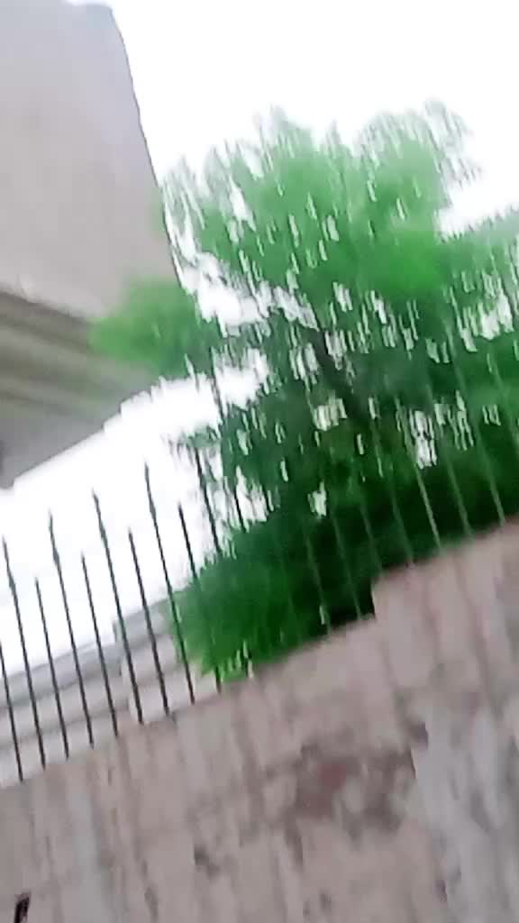 @HafsaAamirMalik