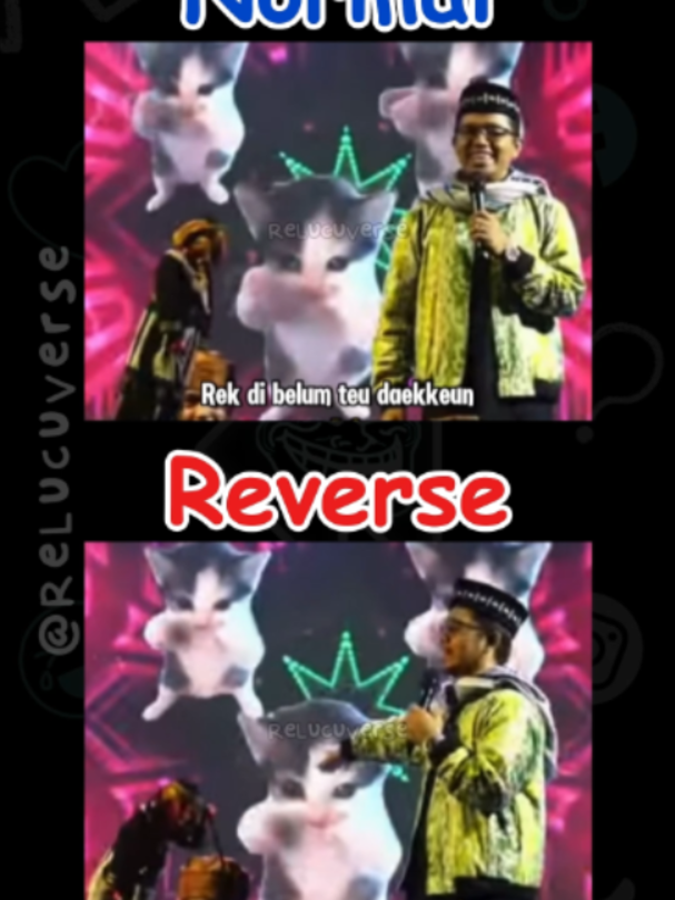 @ReLucuVerse
