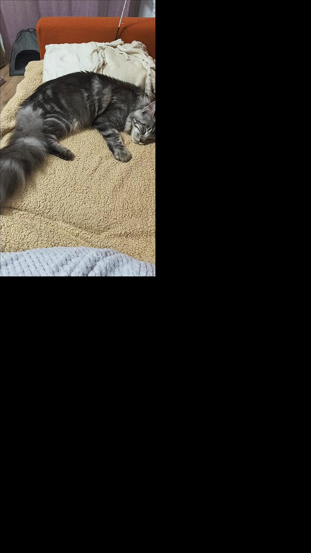 @Оксана