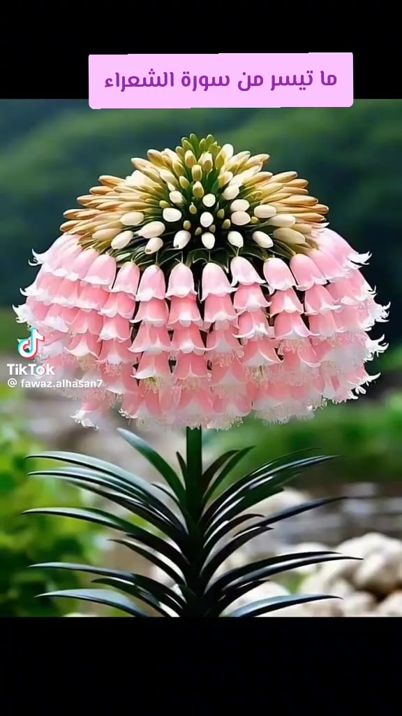 @مصطفى فيلسوف🏺