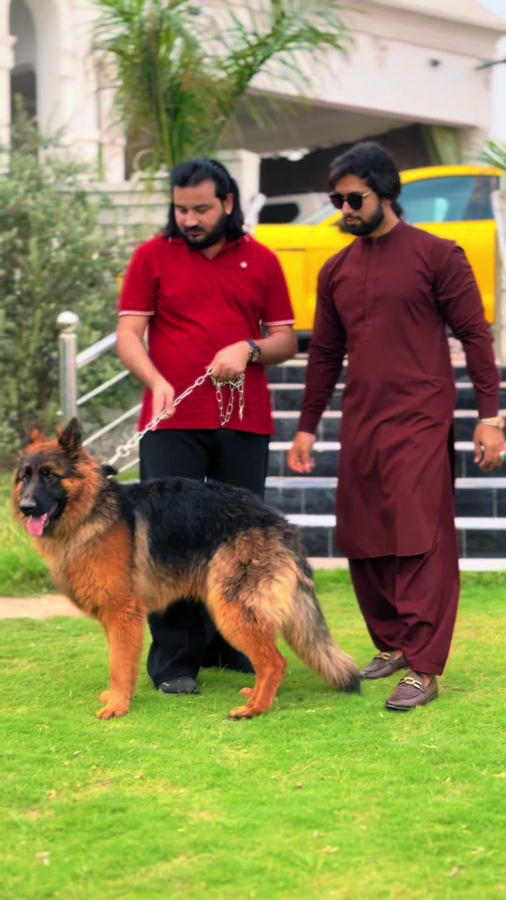 @AqibAliofficial1