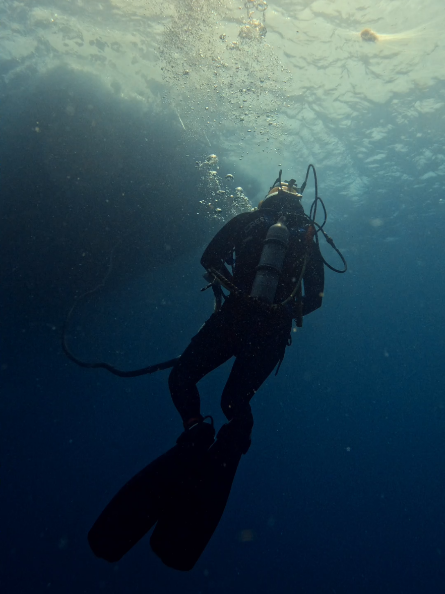 @auscomdiver