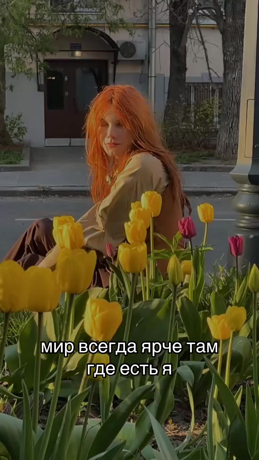 @DELAMON
