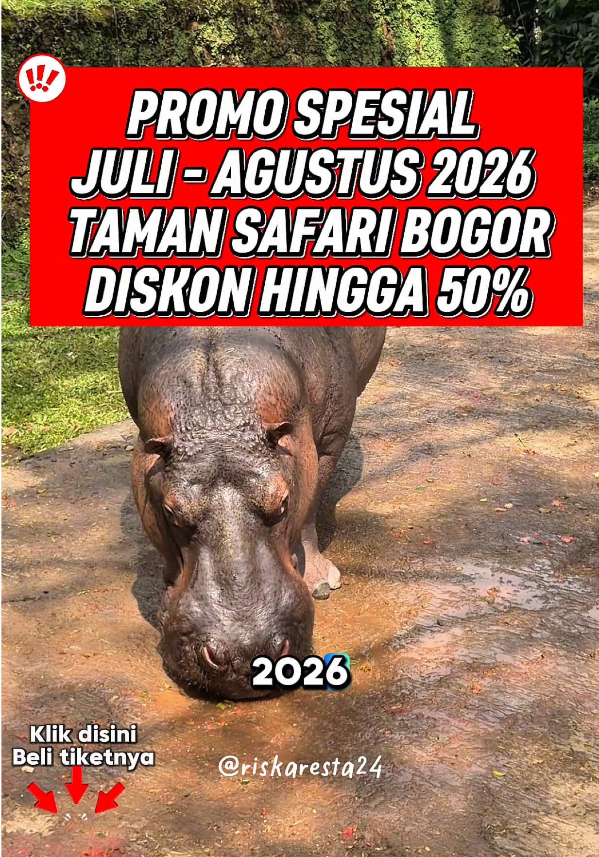 @Riskaresta24