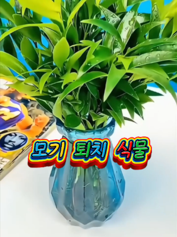 @부러쇼핑