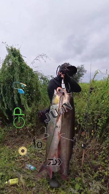 @💞GP2🎣🇨🇳