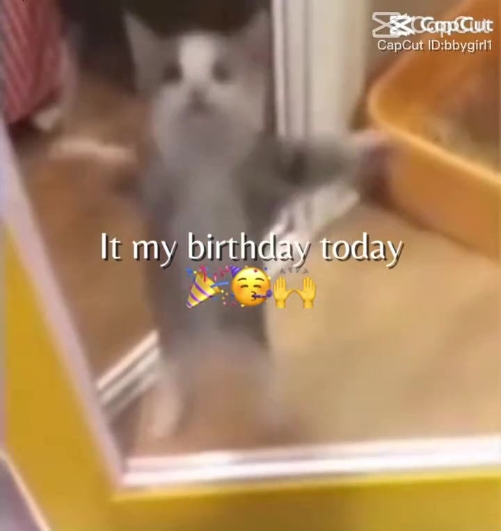 @editsoffamoustiktokers6