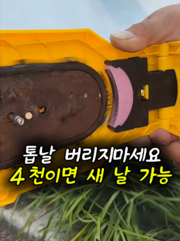 @리키백커