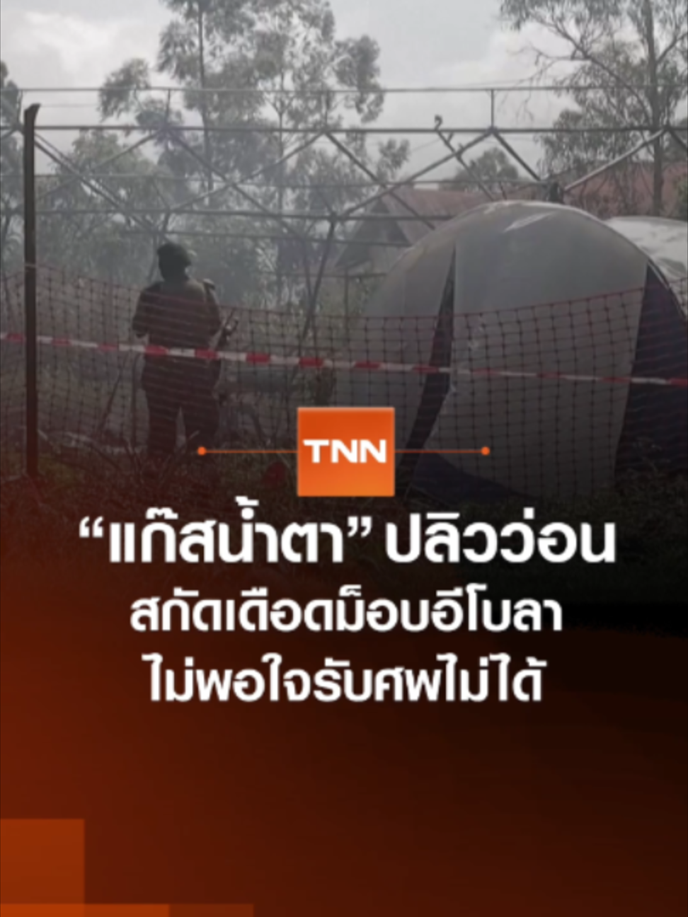 @TNN Online