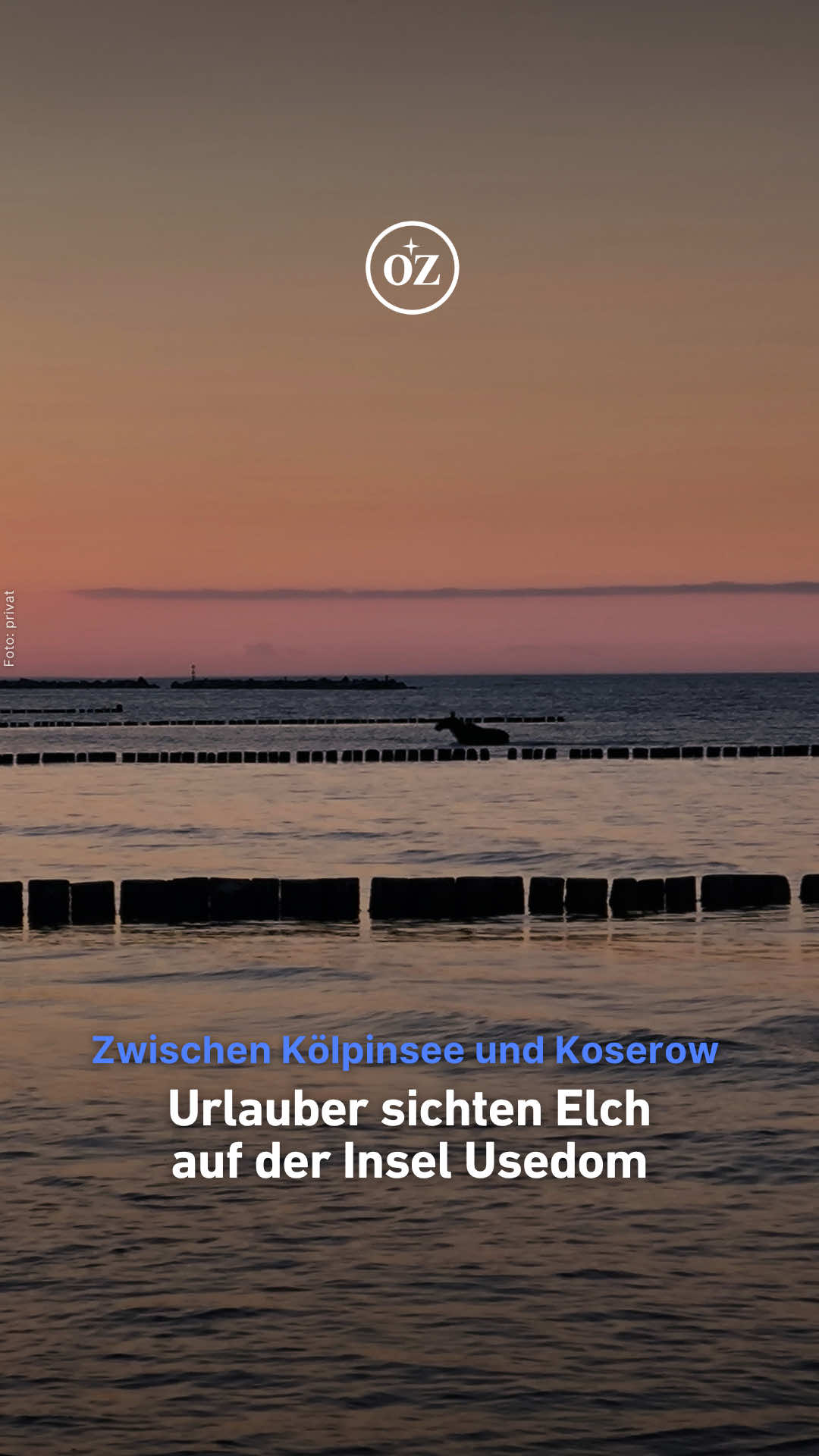 @Deine Ostsee-Zeitung 🌊