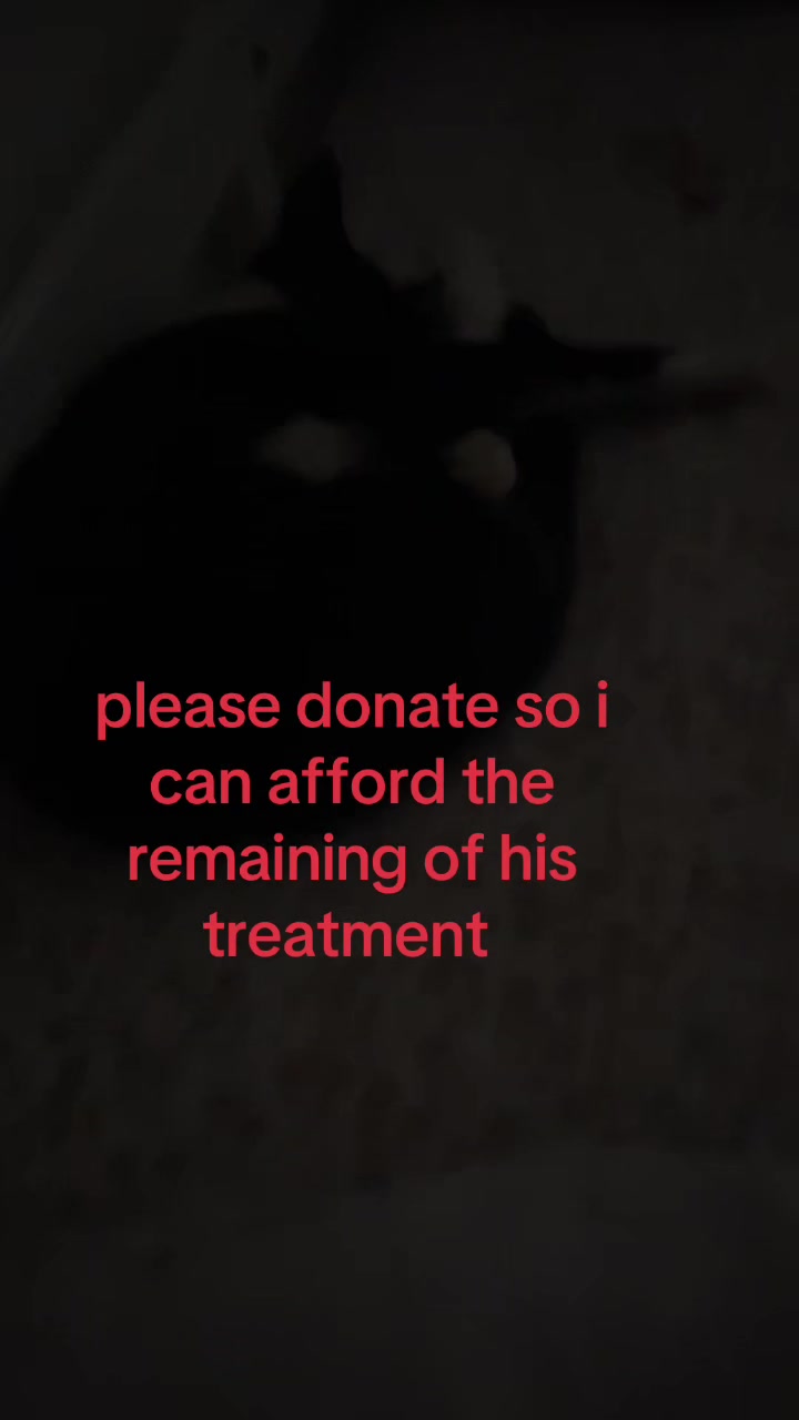 @Save Morris from FIP 🐾❤️&zwj;🩹