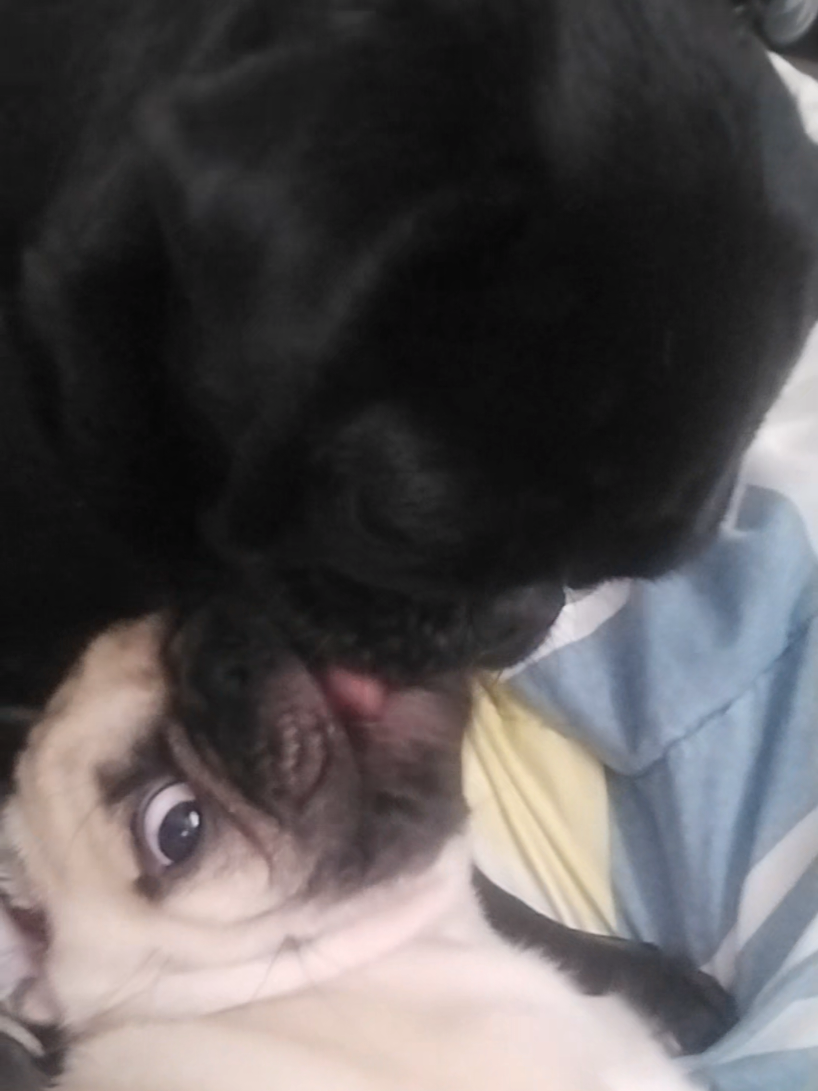 @Mamá Oso 24