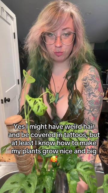 @Fern Sparx🌿✨️