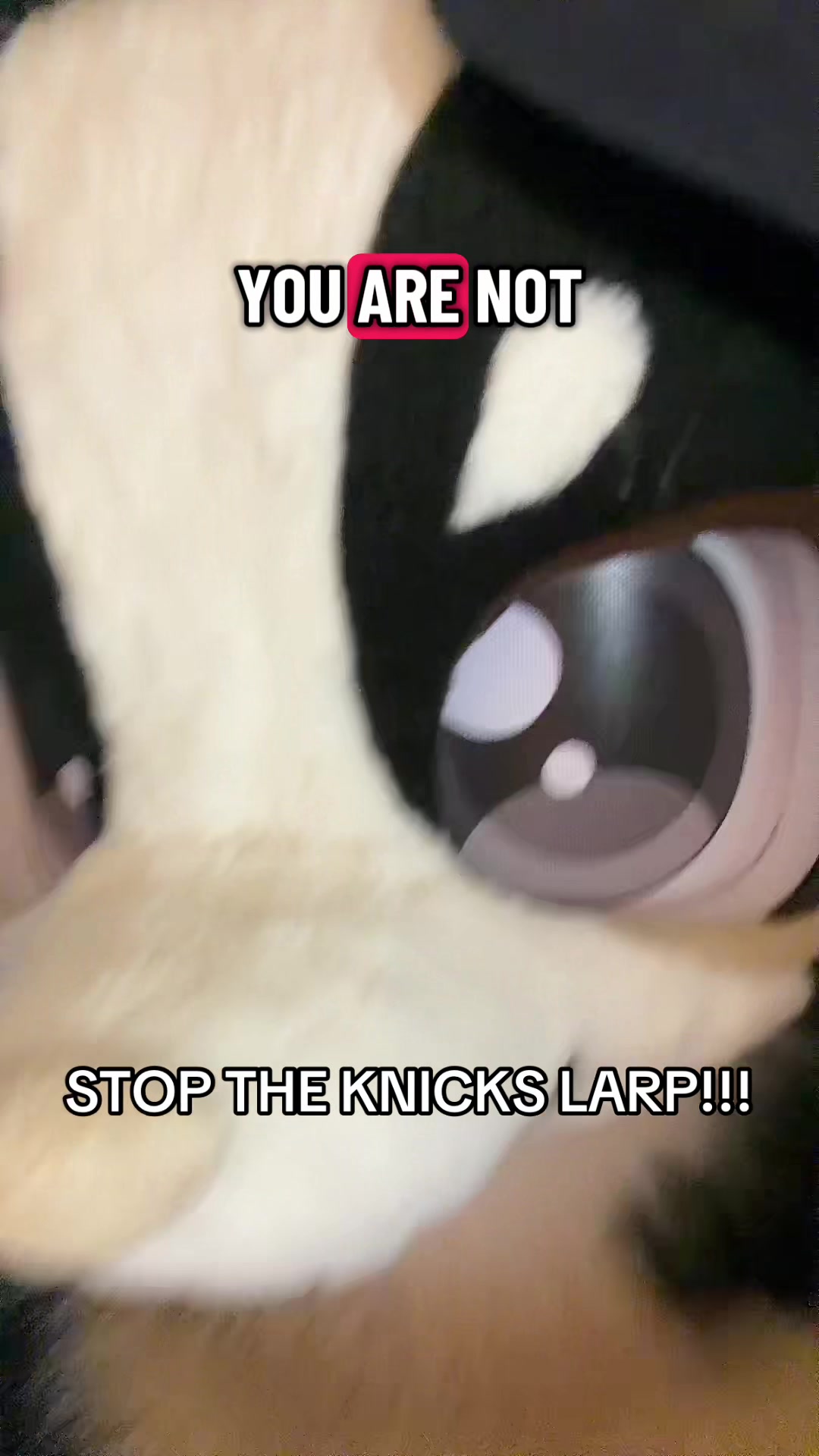 @Oreo