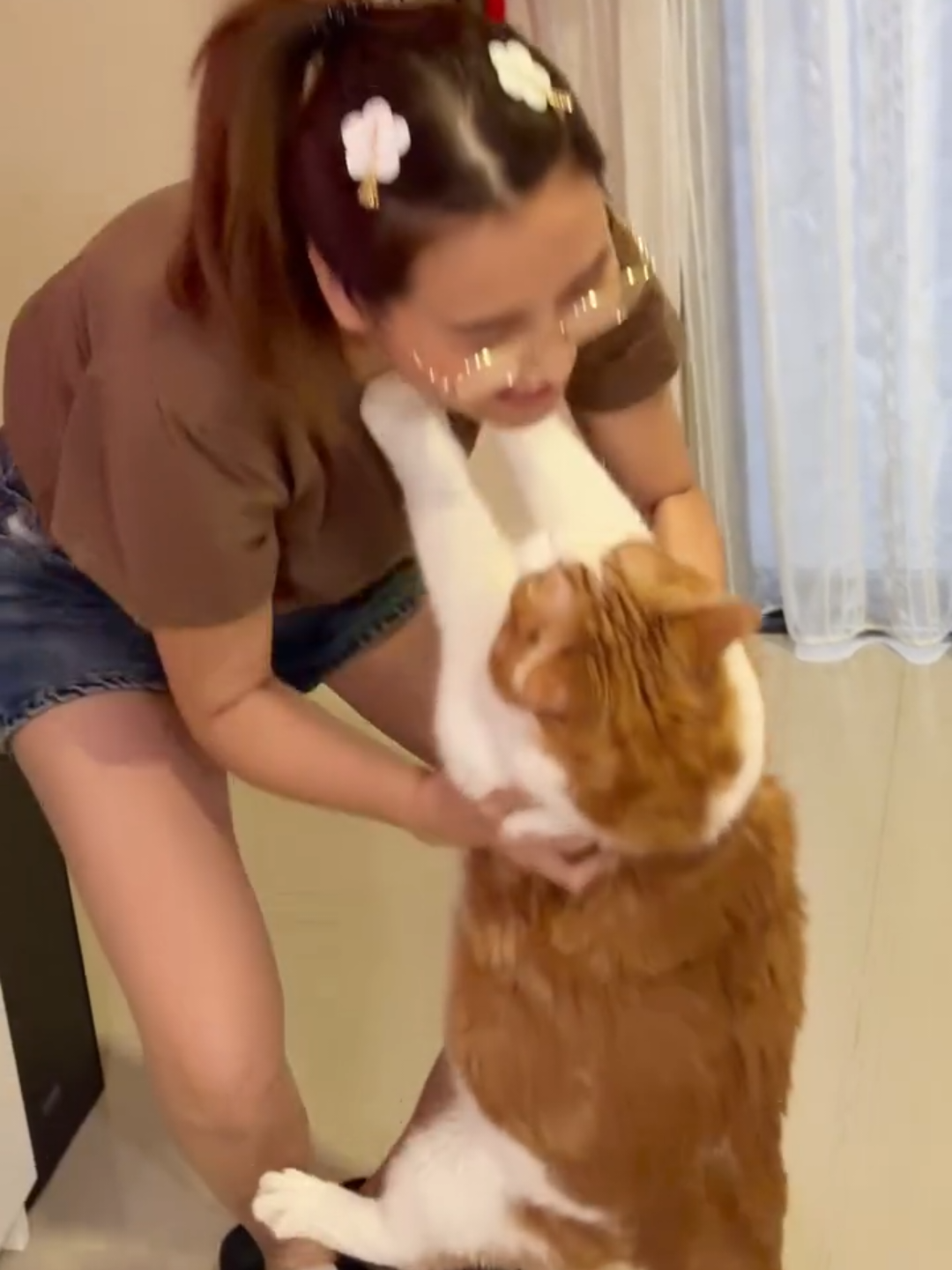 @Chonky World Of Cats