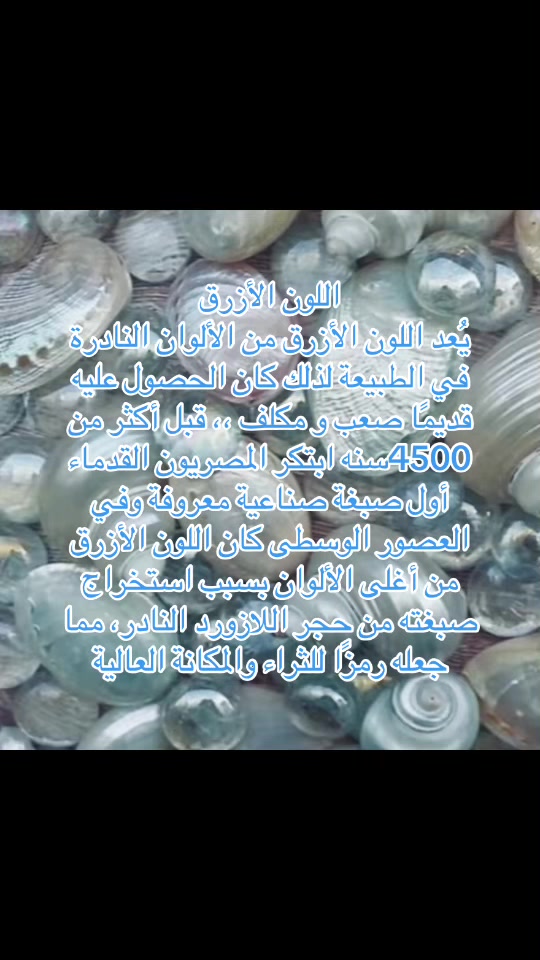 @.🩷𝐒𝐞𝐛𝐚/𝐡𝐢𝐬𝐭𝐨𝐫𝐲
