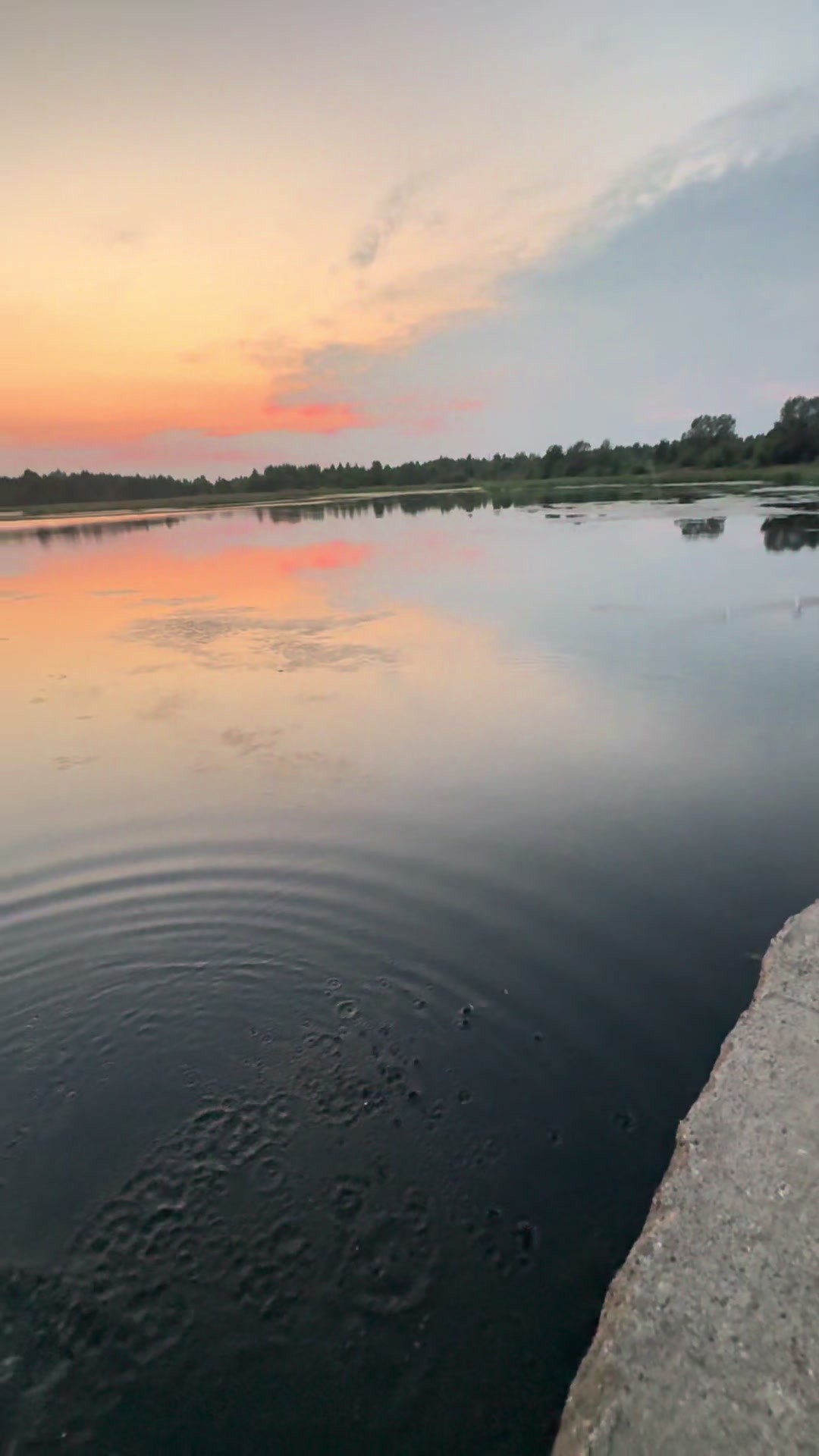 @welsovod🗽