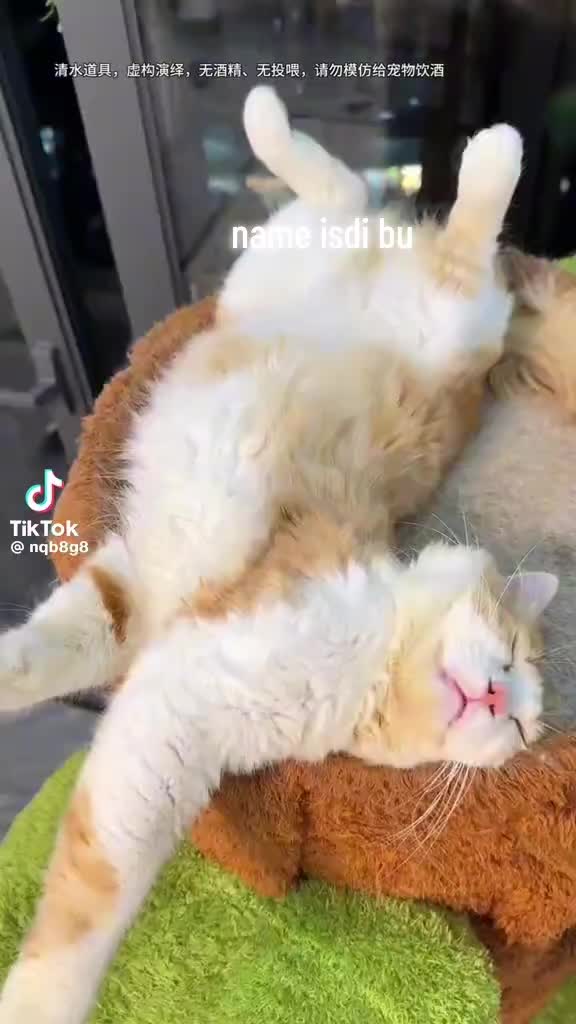 @๐ซ