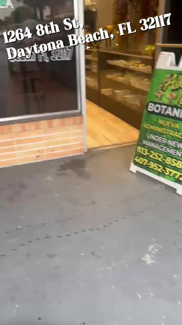 @Ashepati_botanica