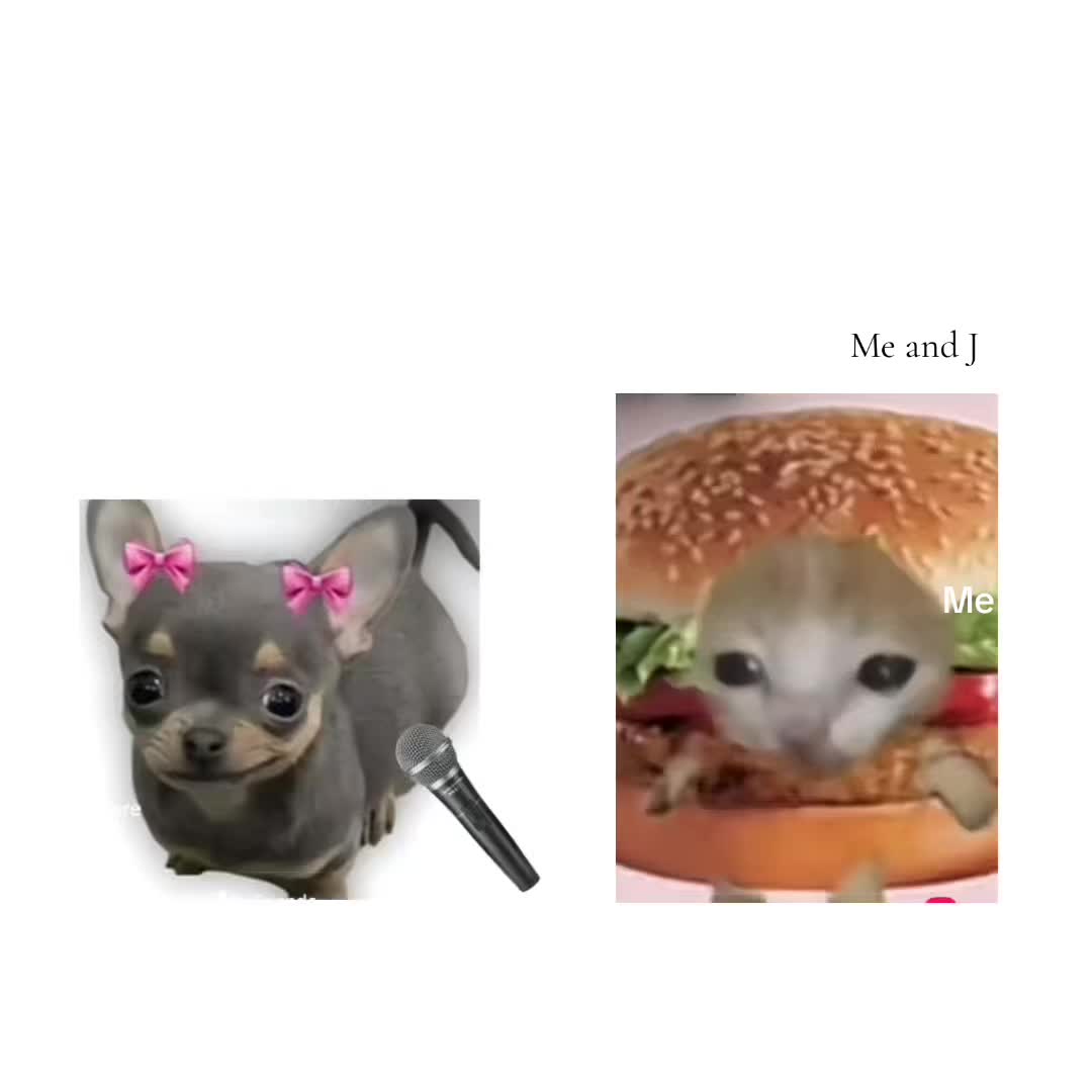 @โ๐ฏ๐๐ซ๐ก๐ฌ๐ชโ