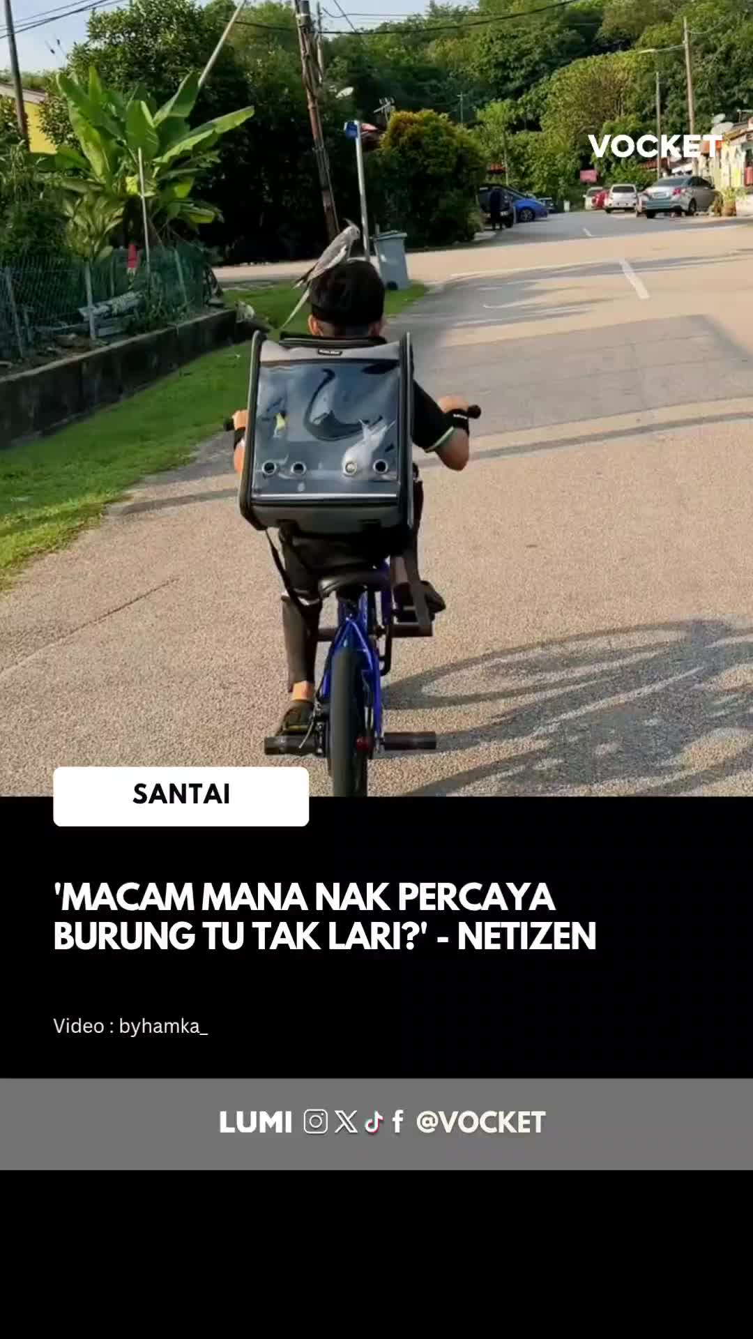 @vocket