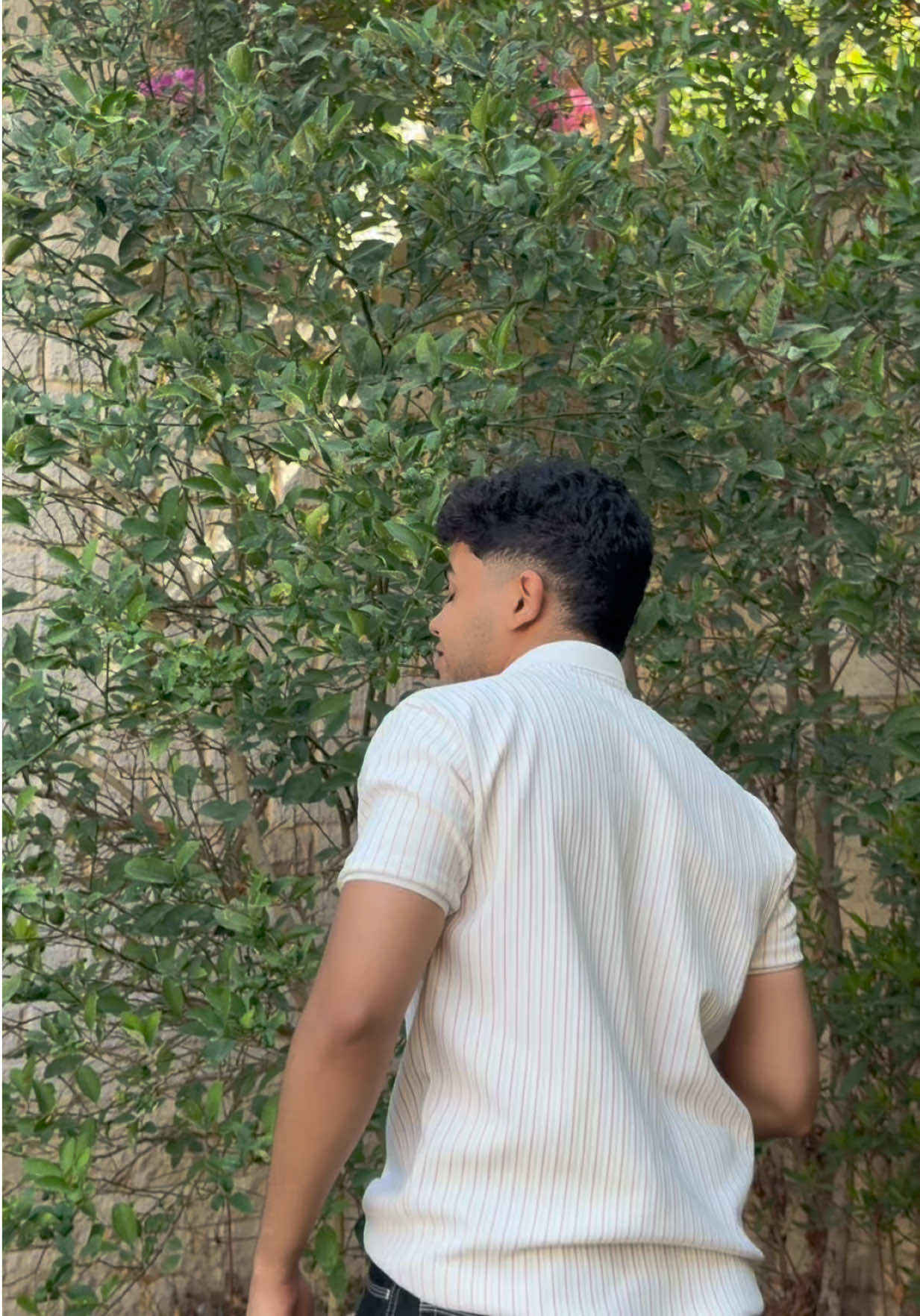 @مجاميجوو🐦🔥