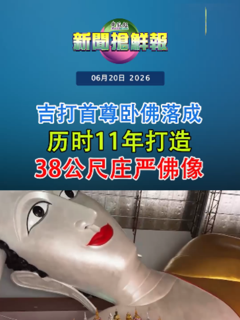 @中国报