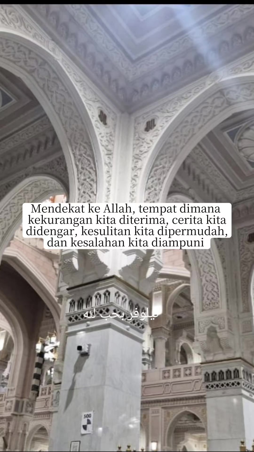 @نيلوفر