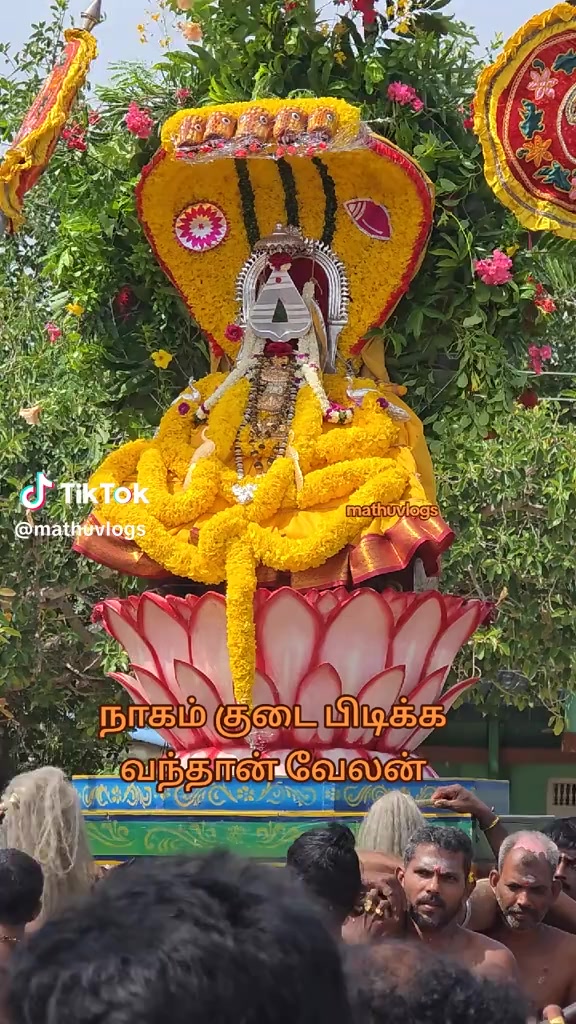 @user9483376184374