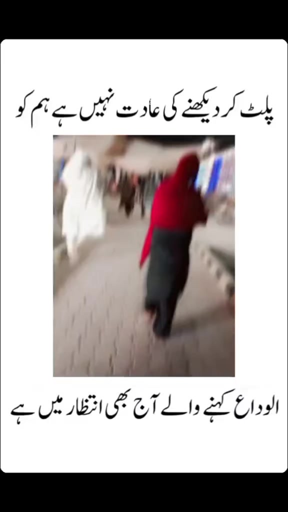 @abeerahbaloch
