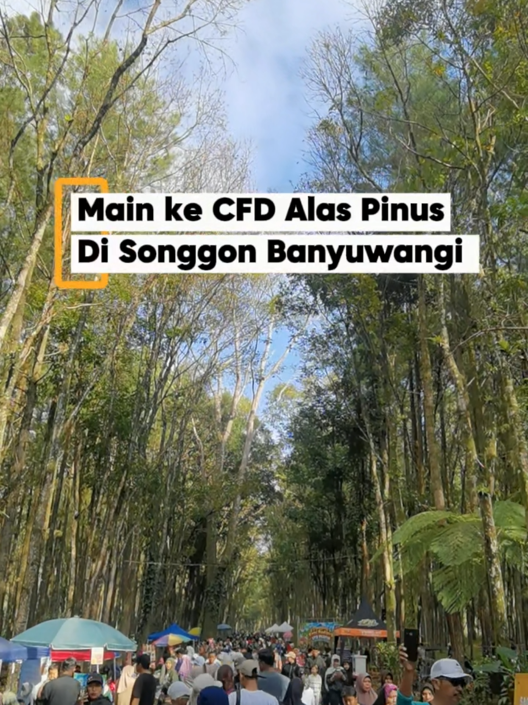 @Pinarak lur