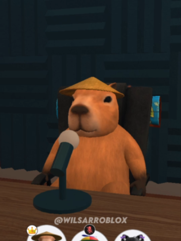 @Wilsar Roblox
