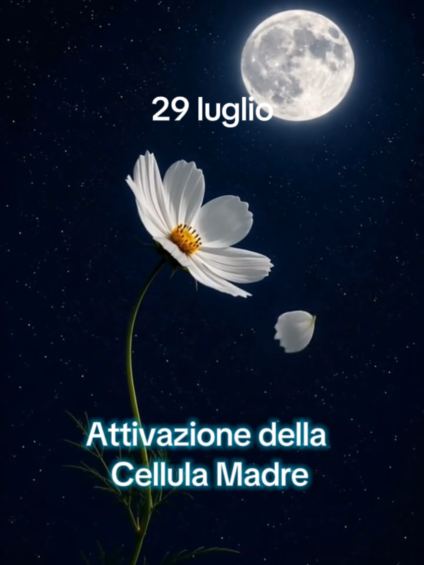 @Lia Liretta